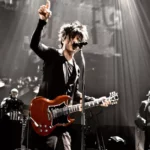 Nicola Sirkis Guitare