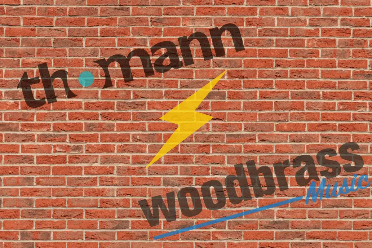 Woodbrass ou Thomann : où acheter son matos musique sans se tromper ?